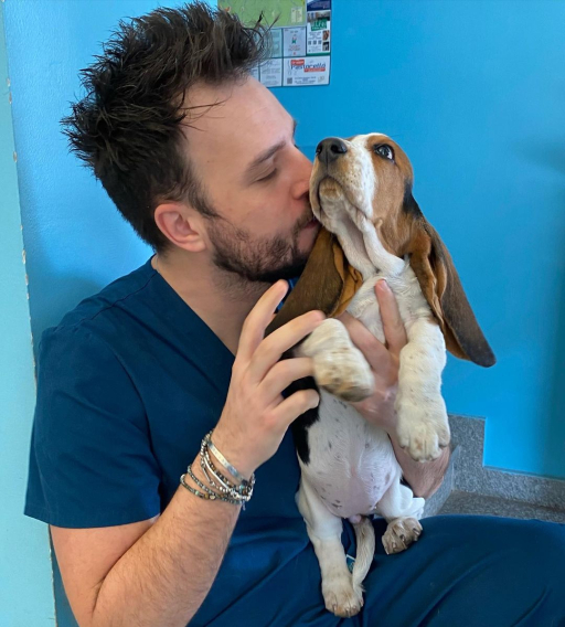Basset Hound