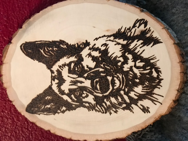 German Shepherd