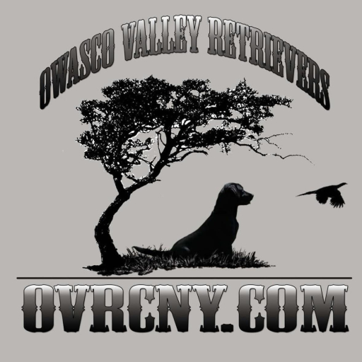 Owasco Valley Retrievers