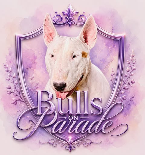 Bull Terrier