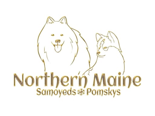 Pomsky