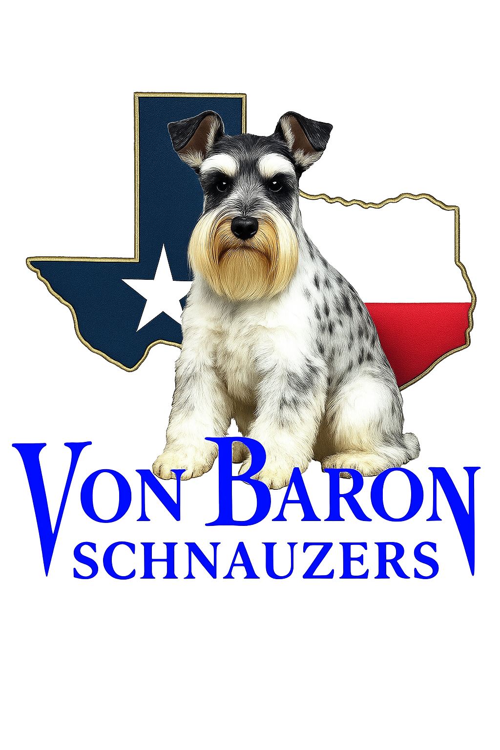 Miniature Schnauzer