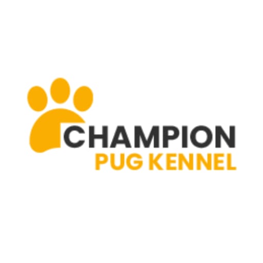 Pug