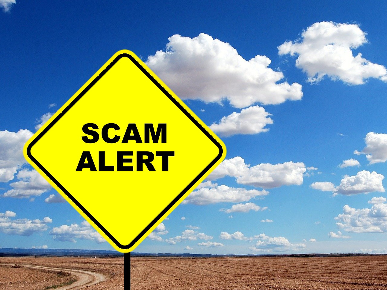 10 Puppy Scams and How they Work - Avoid Them