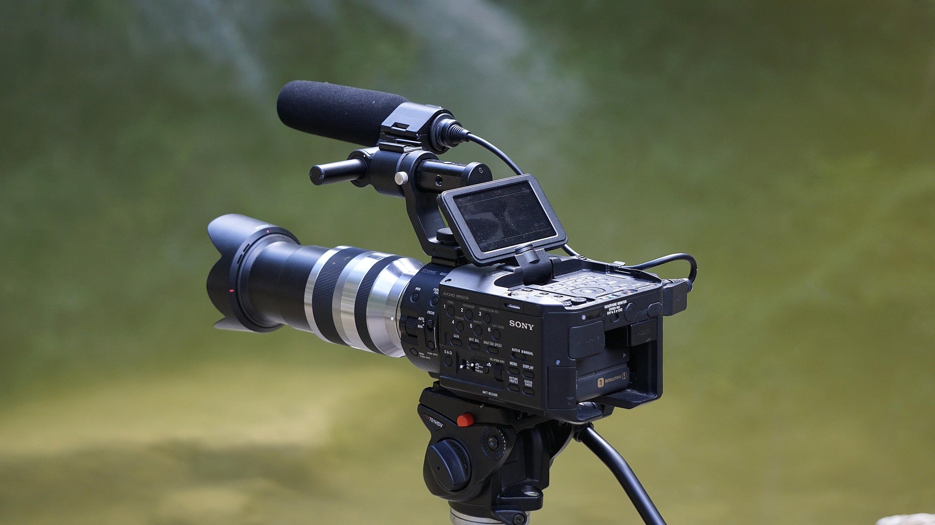 Using Videos to Support Your Puppy Sales