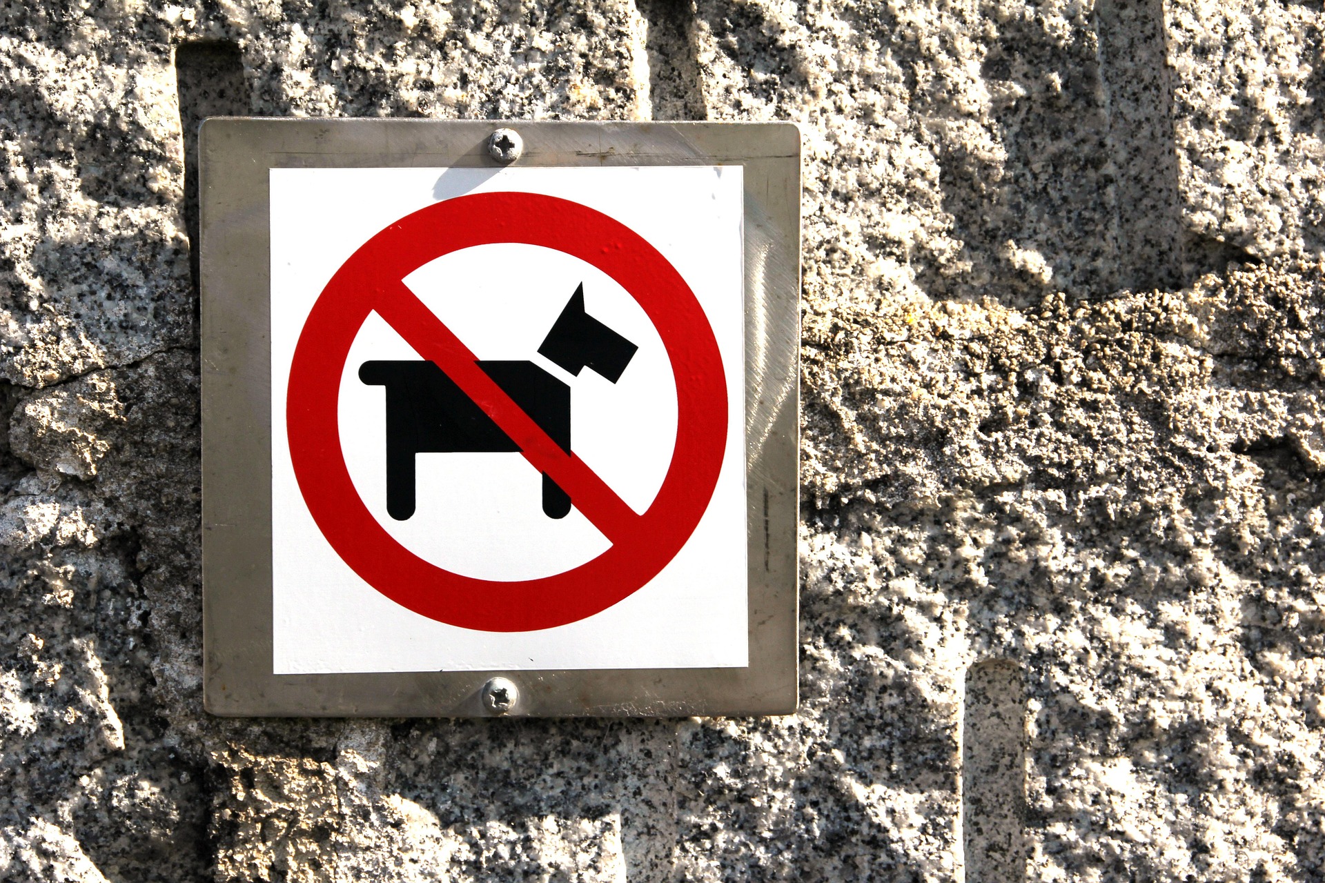 Do Breed Bans Work in Reducing Incidents