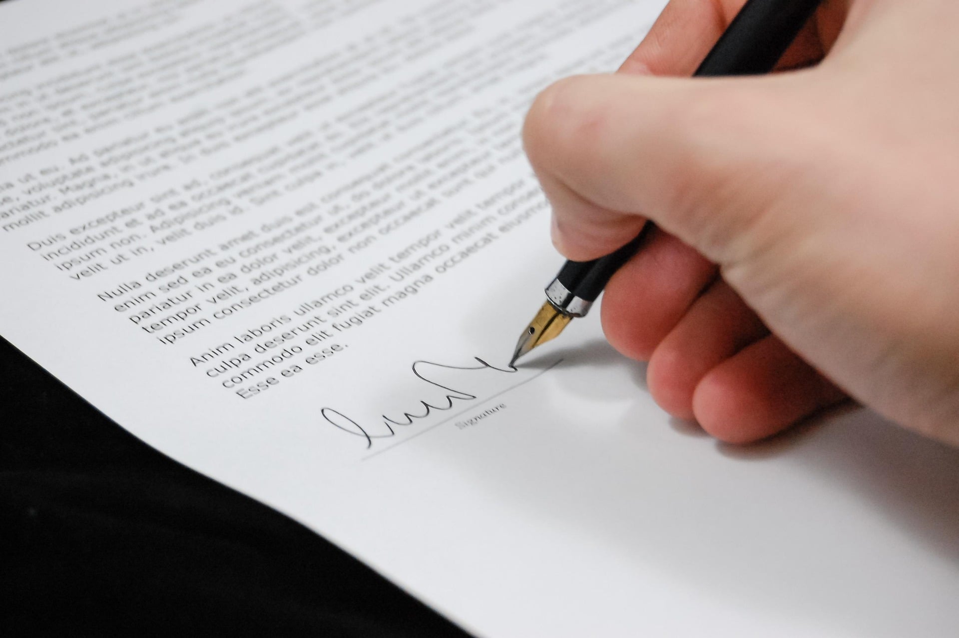Documents to Give to New Puppy Owners