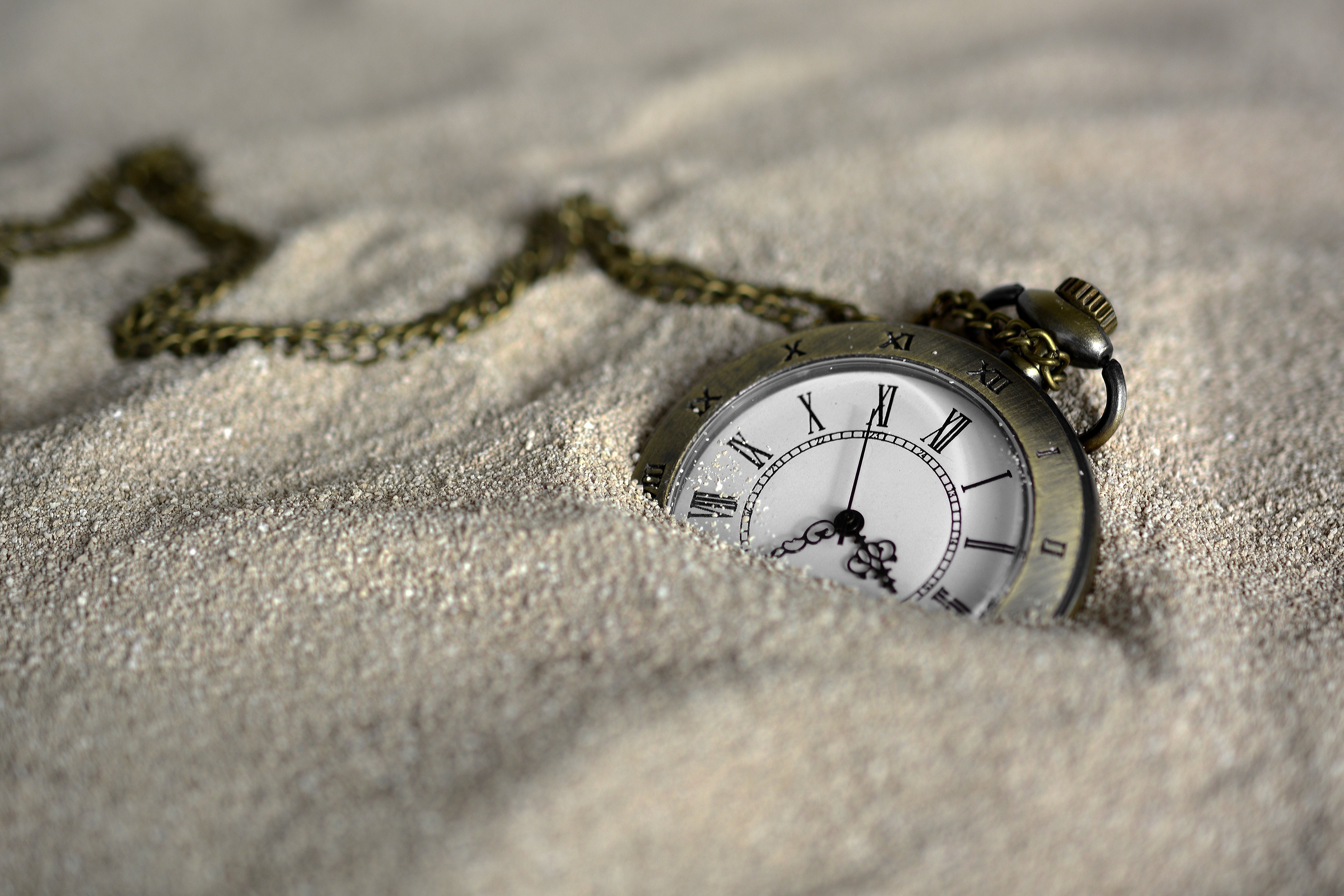 Five Ways to Attract Less Time Wasters When Selling Puppies