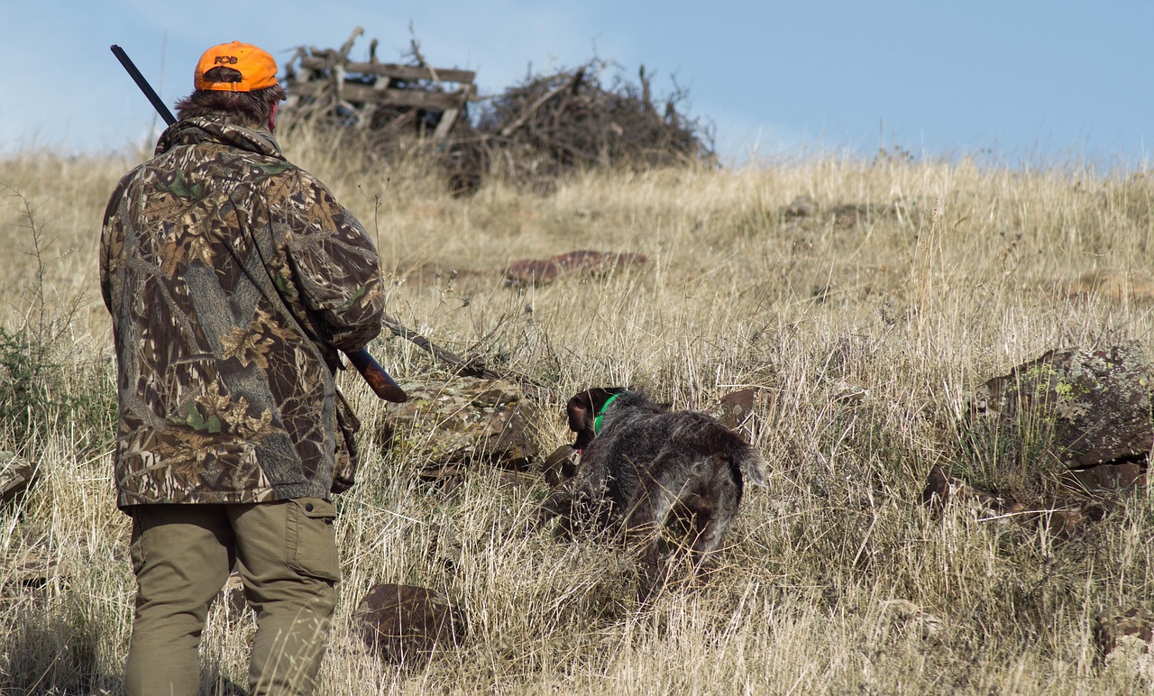 Dogs and Gun Safety: Crucial Tips to Stay Safe