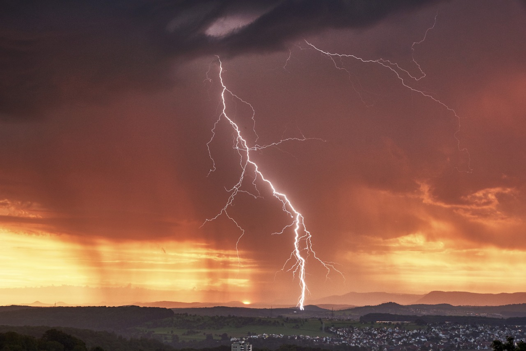 Dog Scared of Thunder: How to Calm Them