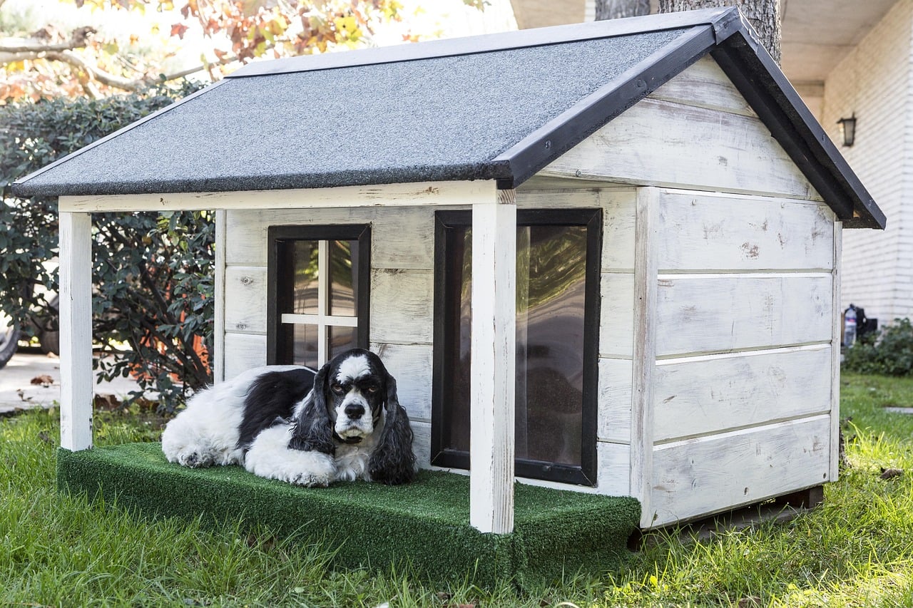 Breeding Kennels: How to Design Dog Kennels for Breeding