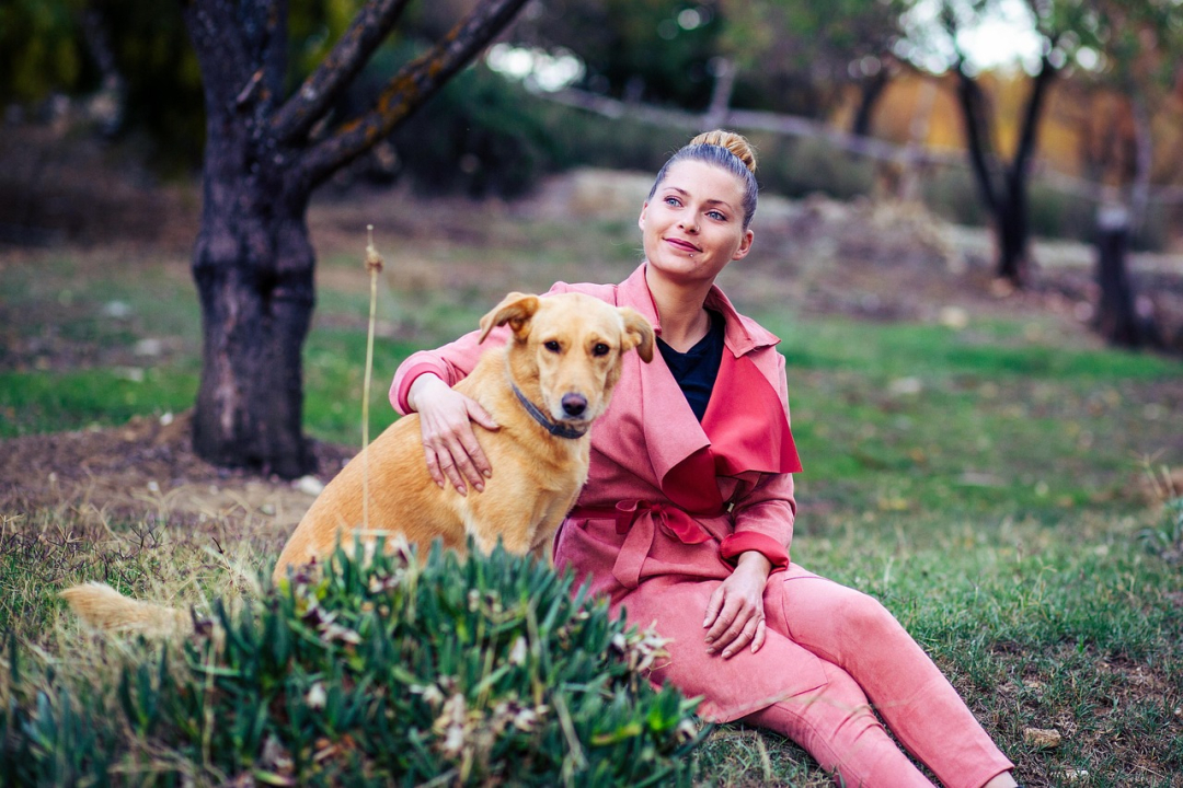 PR Releases for Dog Breeders