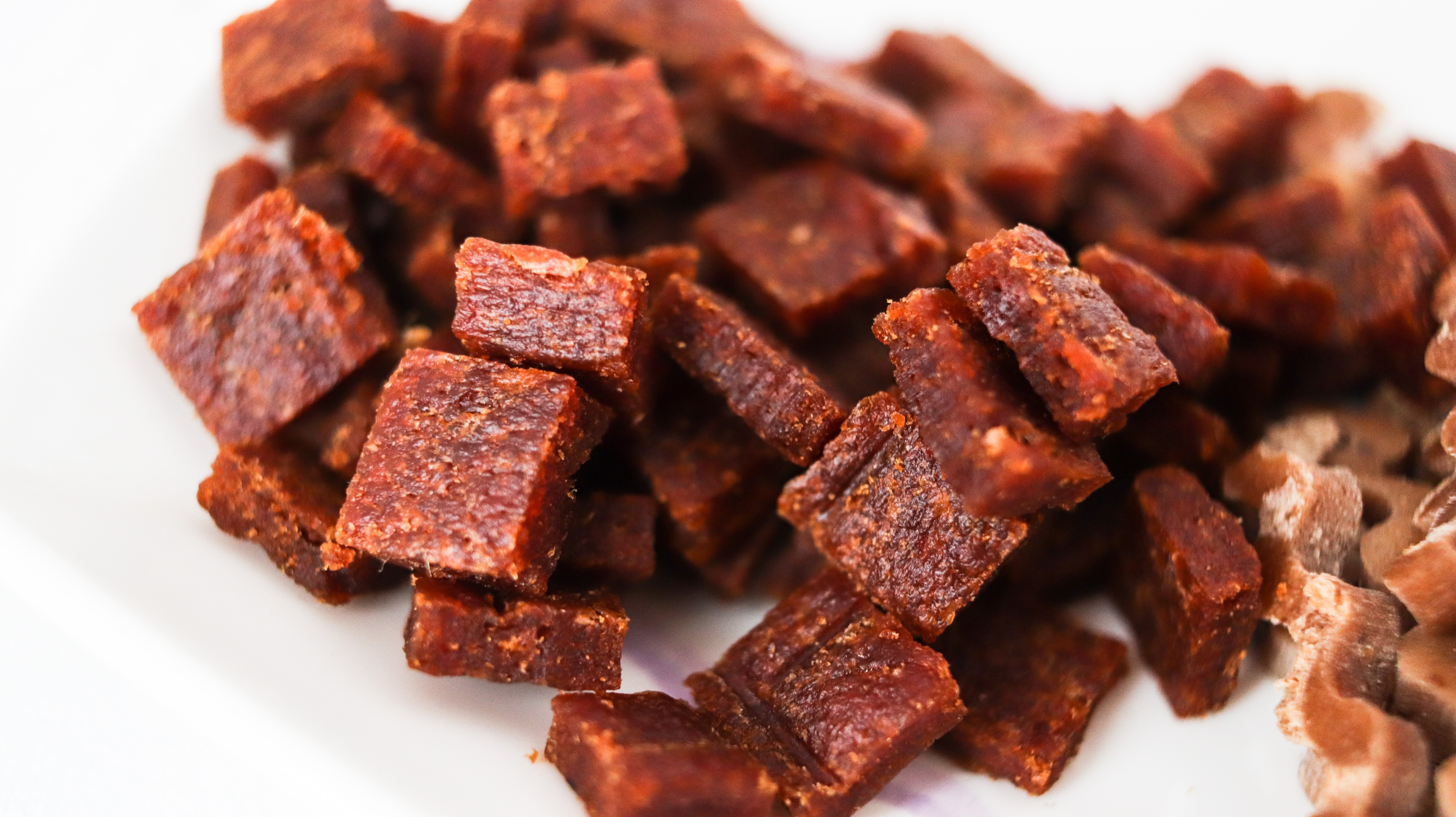 Raw Dog Food: Is it Healthier for Your Pet Pooch?