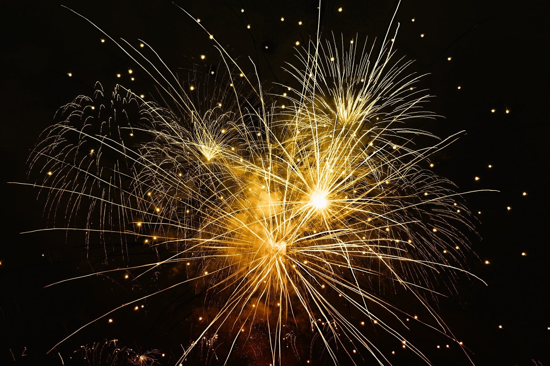 Keeping Dogs Happy During Firework Season