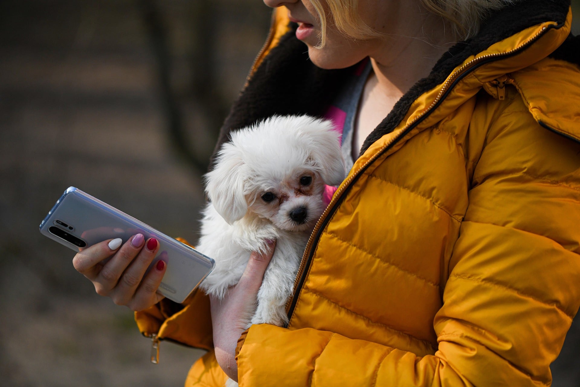 AI App Helps Dog Owners Understand Dog Behavior