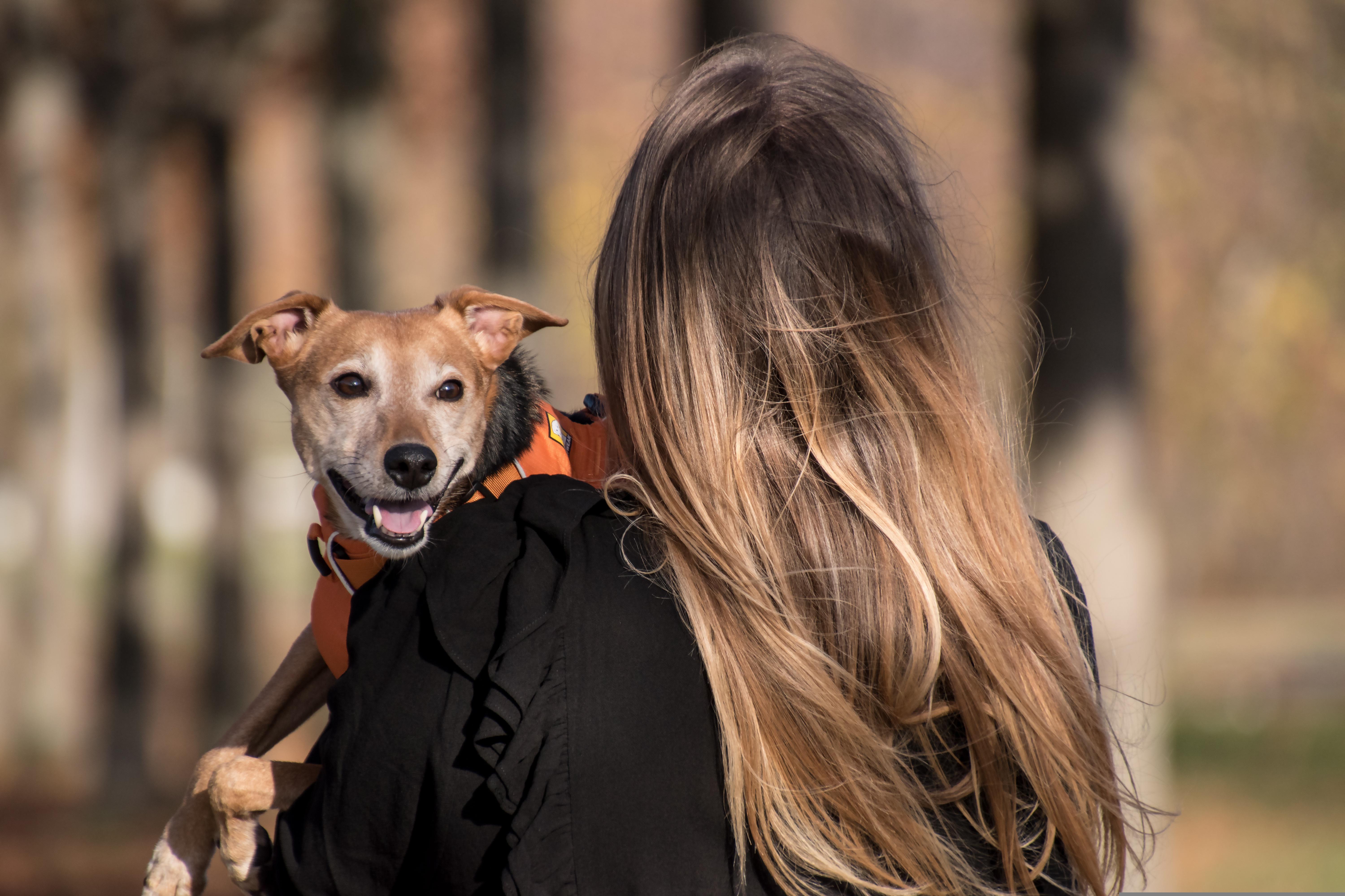 Your Dog Knows You Better Than You Think