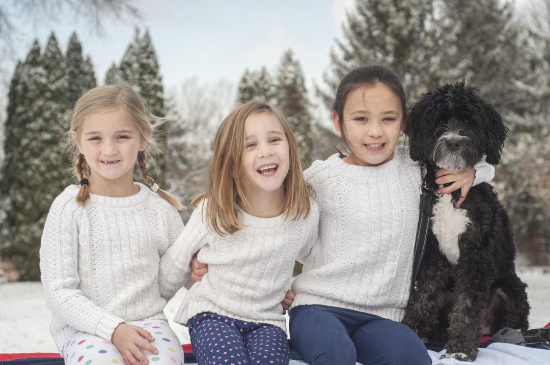 Puppy Care Harder Than Expected for One in Three