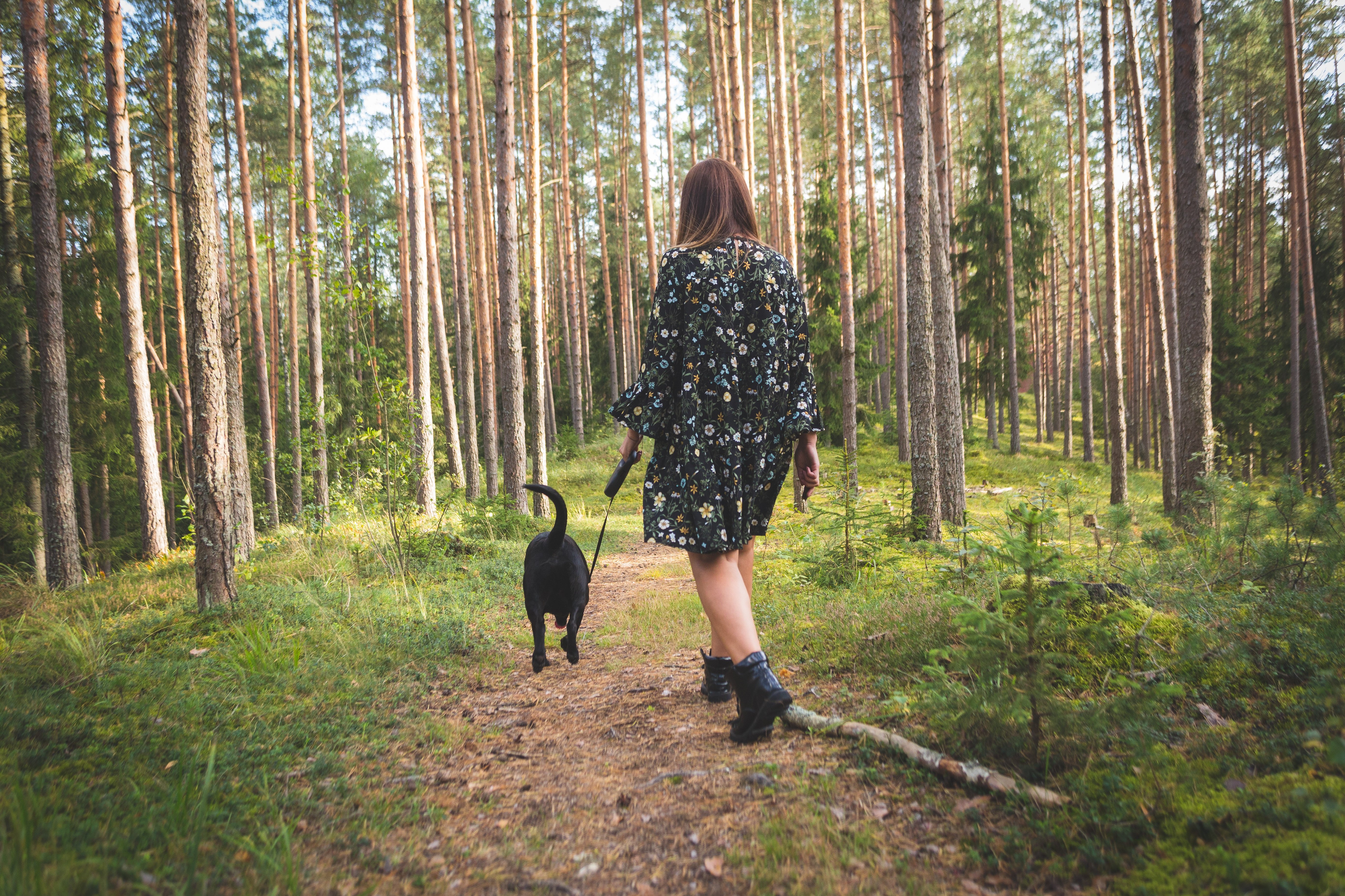 Dog-led walks are here to stay…What do they mean?