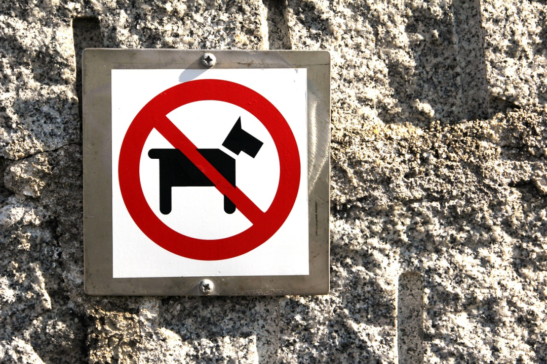 Banned Dog Breeds: 18 Dogs You Can’t Have