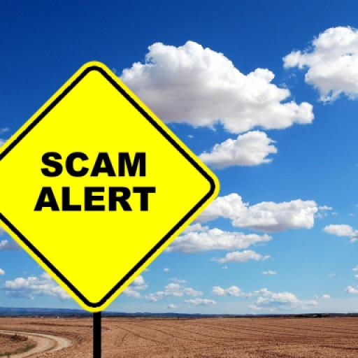 10 Examples of Puppy Scams