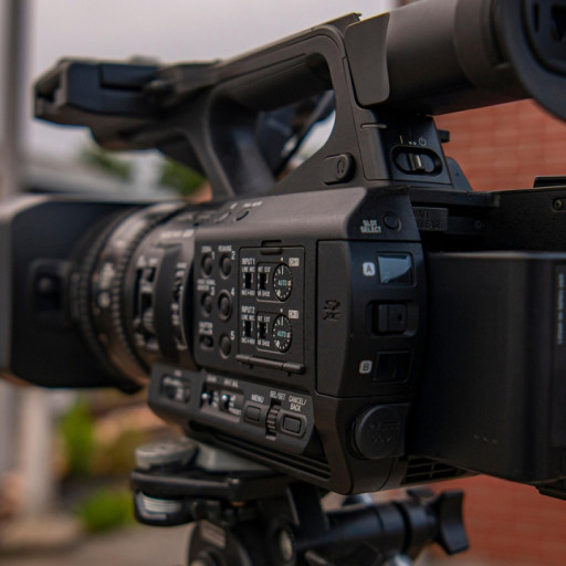 10 YouTube Video Ideas to Market Your Dog Breeding Business