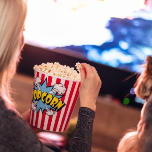 Can Dogs Watch Television?