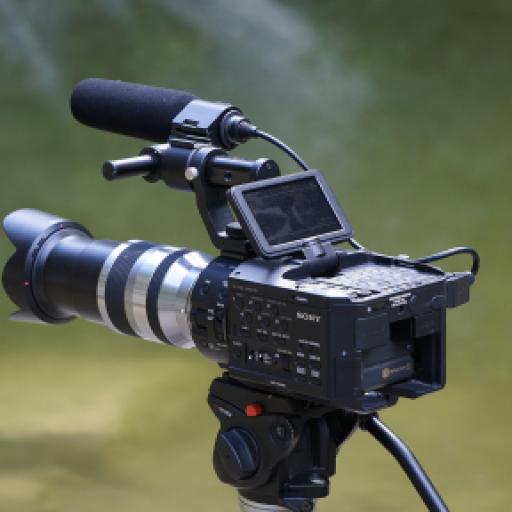 Could Using Videos Support Puppy Sales?