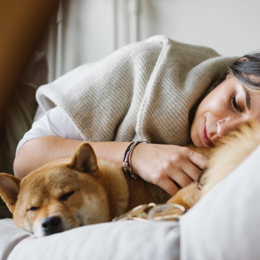 Do Dogs Know When You Are Sick?