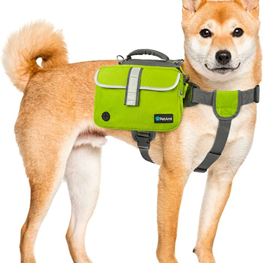 Dog Backpack - Is It Okay to Use One?