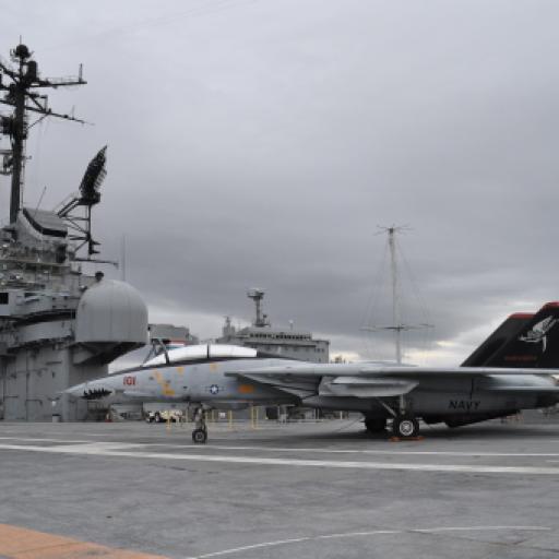 How the Navy Uses Therapy Dogs to Support Sailors on Deployment