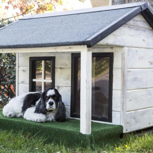 How to Design Your Breeding Kennels