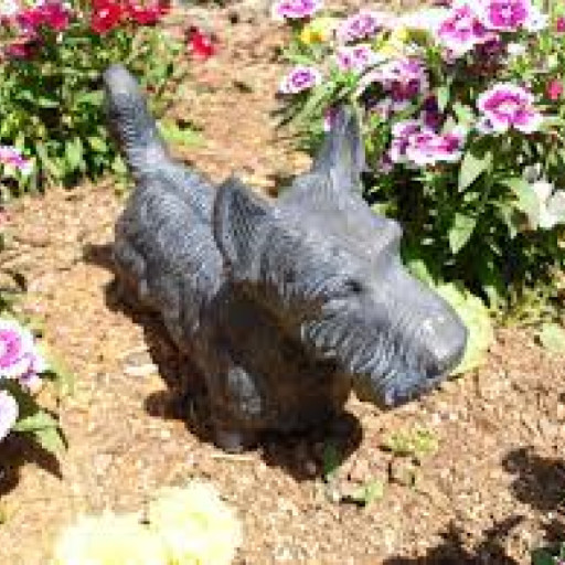 How to Keep Dogs Out of Flower Beds?