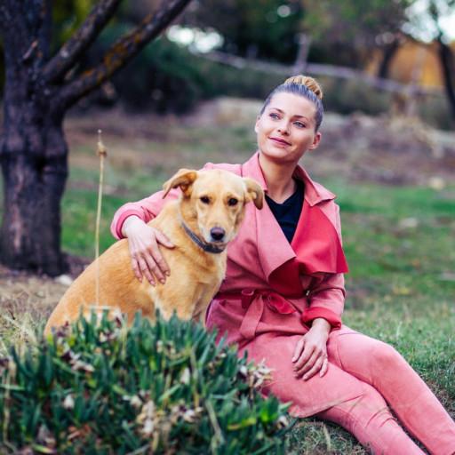 How to Use PR Releases for Dog Breeders