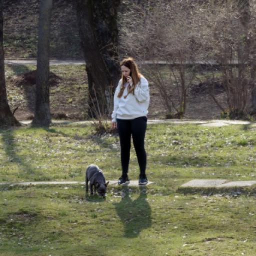 Keeping Buyers Engaged: How to Manage a Puppy Waitlist Between Litters