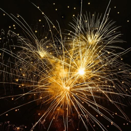 Keeping Dogs Happy During Firework Season