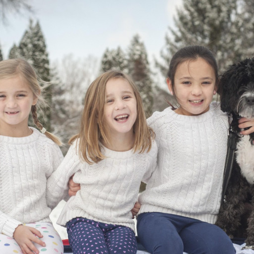 One in Three Families Find Puppy Care Overwhelming