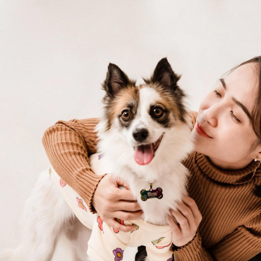 Should You Give Your Dog a Hug?