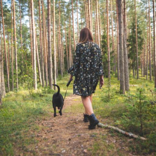 Sniffari vs. Sprints: Why 2026 is the Year of the 'Slower Walk'