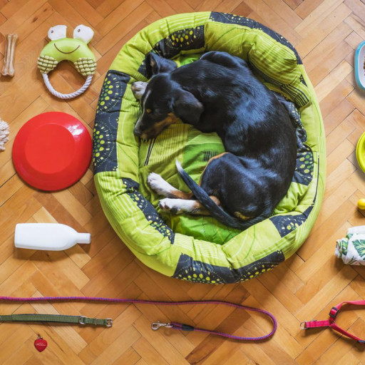 The Ultimate Checklist for New Dog Parents