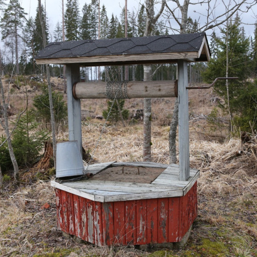 Toxic Wells Hurt a Dog’s Health Faster