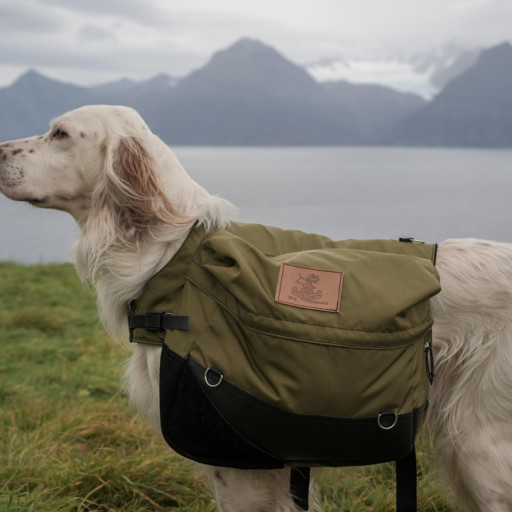 Unique Jobs for Working Dogs 