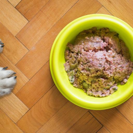 What are the Best Sustainable & Alternative Dog Nutrition To Use