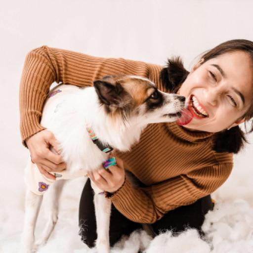 Why Dogs Lick Your Hands When You Greet Them