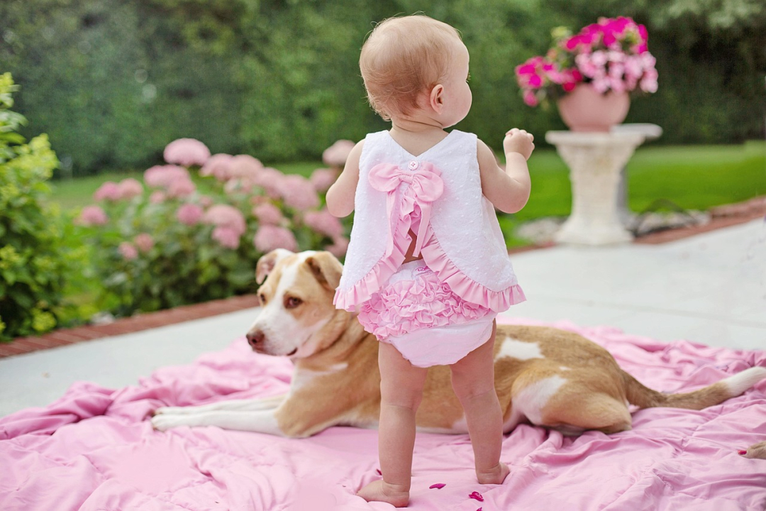 Baby and Dog: Tips for Care of Both Baby and Puppy