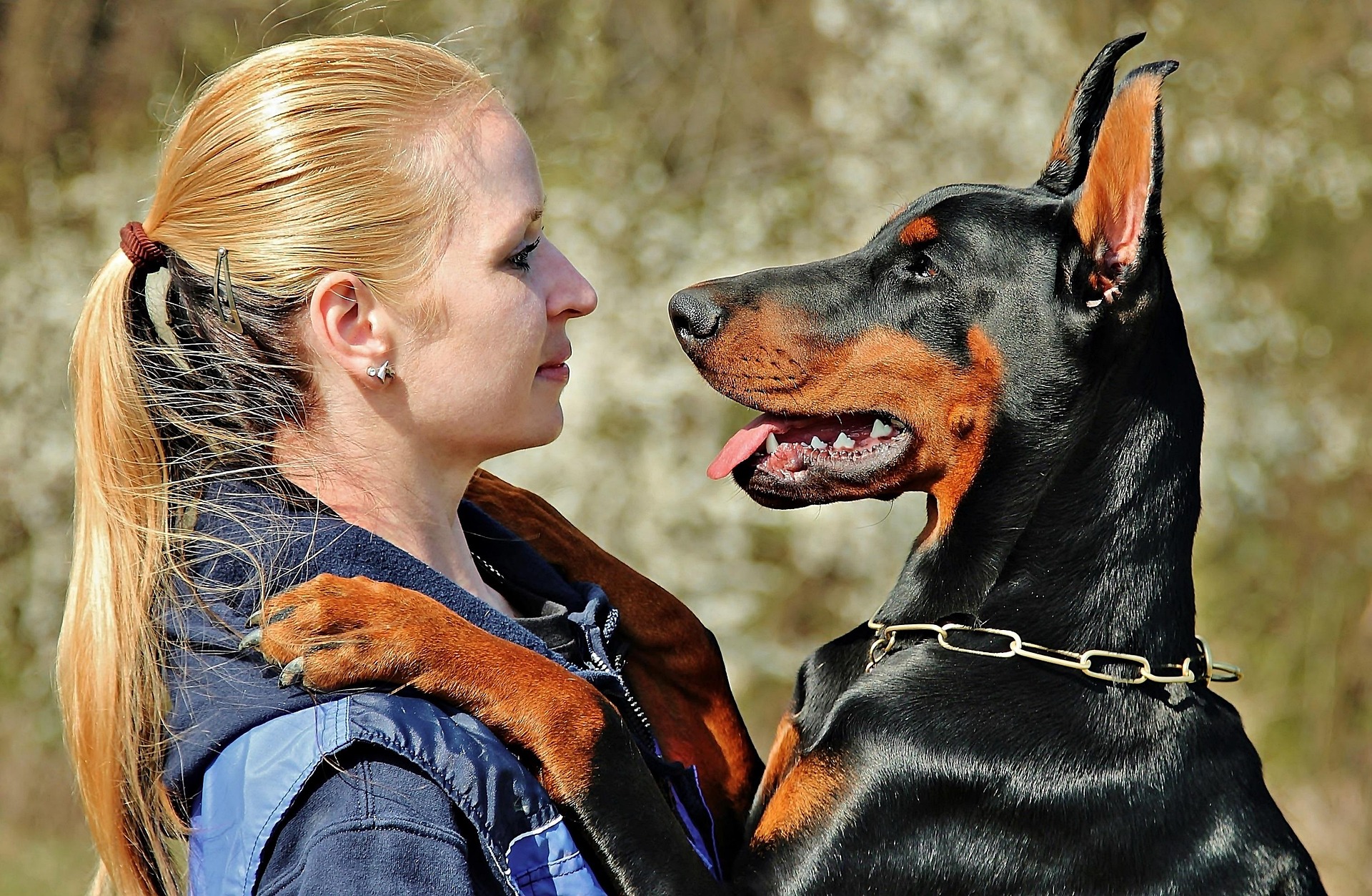 These are the Top Careers You Can Work with Dogs