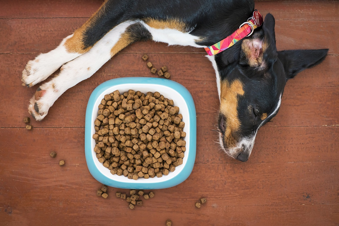Using Wholesale to Help with your Dog Breeding Business
