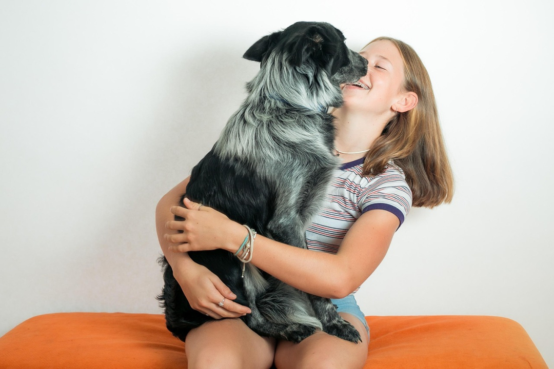 What to Ask a Dog Breeder When Buying Puppies