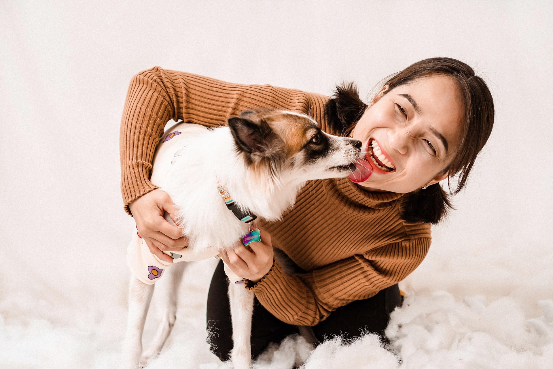 Why Dogs Lick Your Hands: Top Reasons and Tips