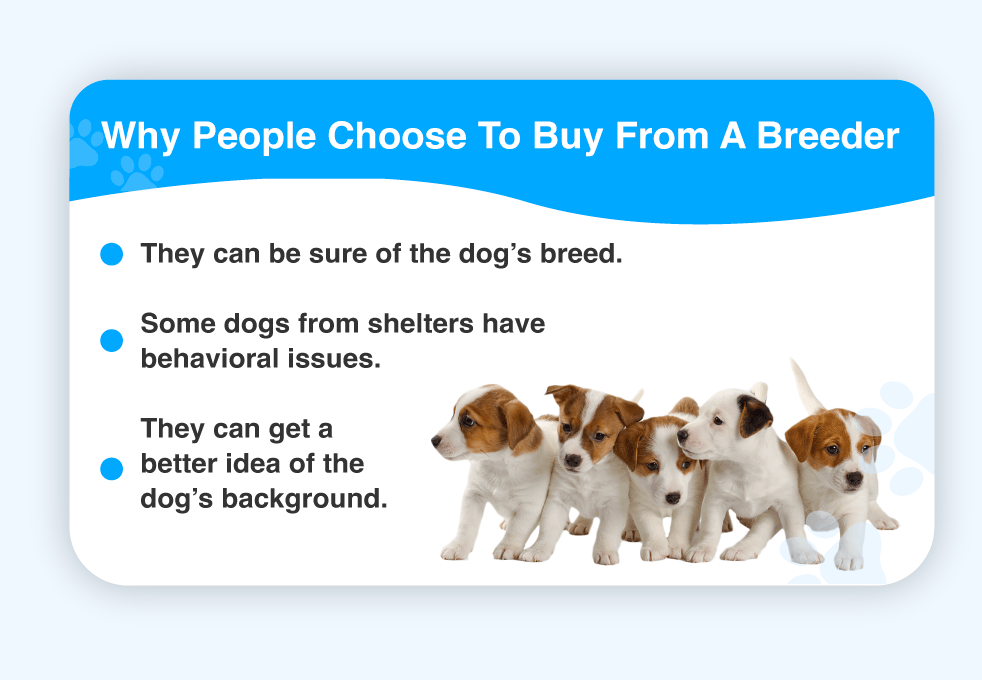 how to find a good breeder for dogs