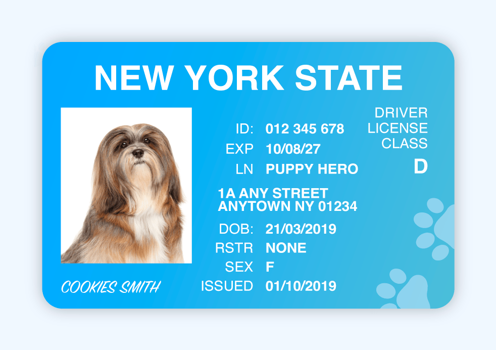 Pet Licenses for State New York 